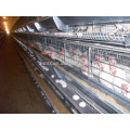 Birdsitter ISO9001 qualified Aluminum-Zinc Alloy poultry farm chicken cage